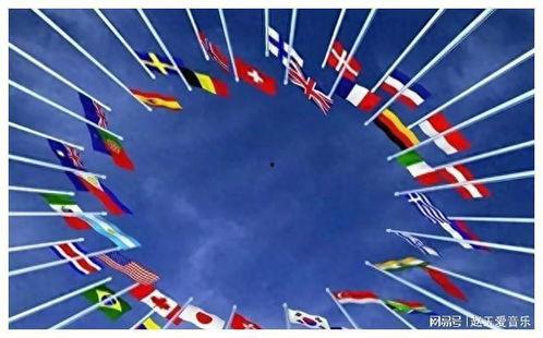 太海爆料最新消息新闻,最新热点新闻深度解析